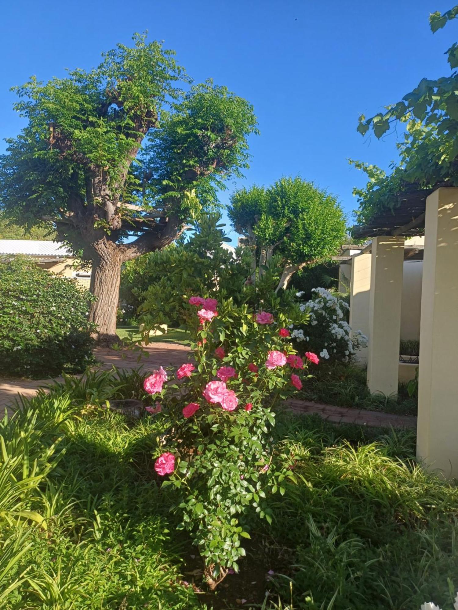 Libby'S Lodge Upington Exterior foto